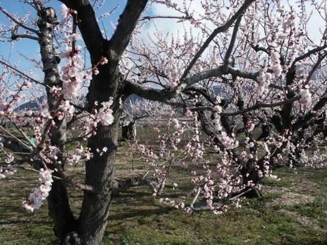Kamiyamada Hotel Chikuma ภายนอก รูปภาพ